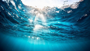 Giải Mã Giấc Mơ Thấy Nước Trong Và Nước Đục: Ý Nghĩa Tổng Quan